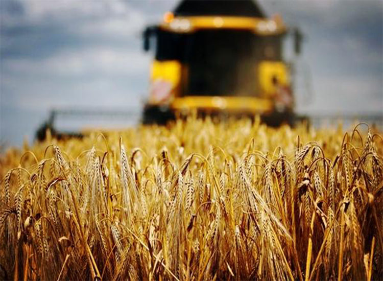 澳大麥豐收，銷路卻成了問題，印度有意接盤卻引來農(nóng)民不滿【潤康】磨煤機(jī)磨輥對此看法?