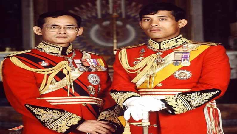 磨煤機(jī)磨輥 磨煤機(jī)磨輥